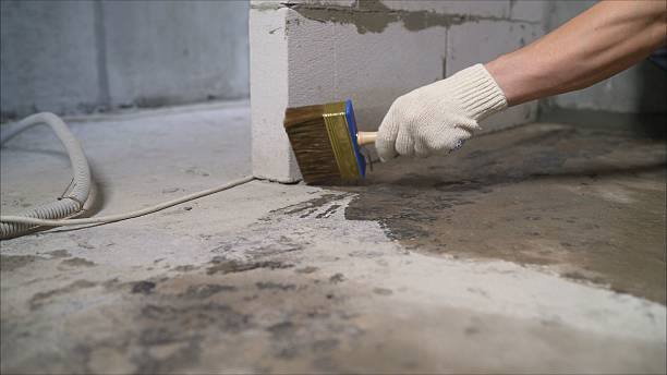 SJ Waterproofing Pros Exterior Waterproofing coverage map for Brooklyn, MI and surrounding area